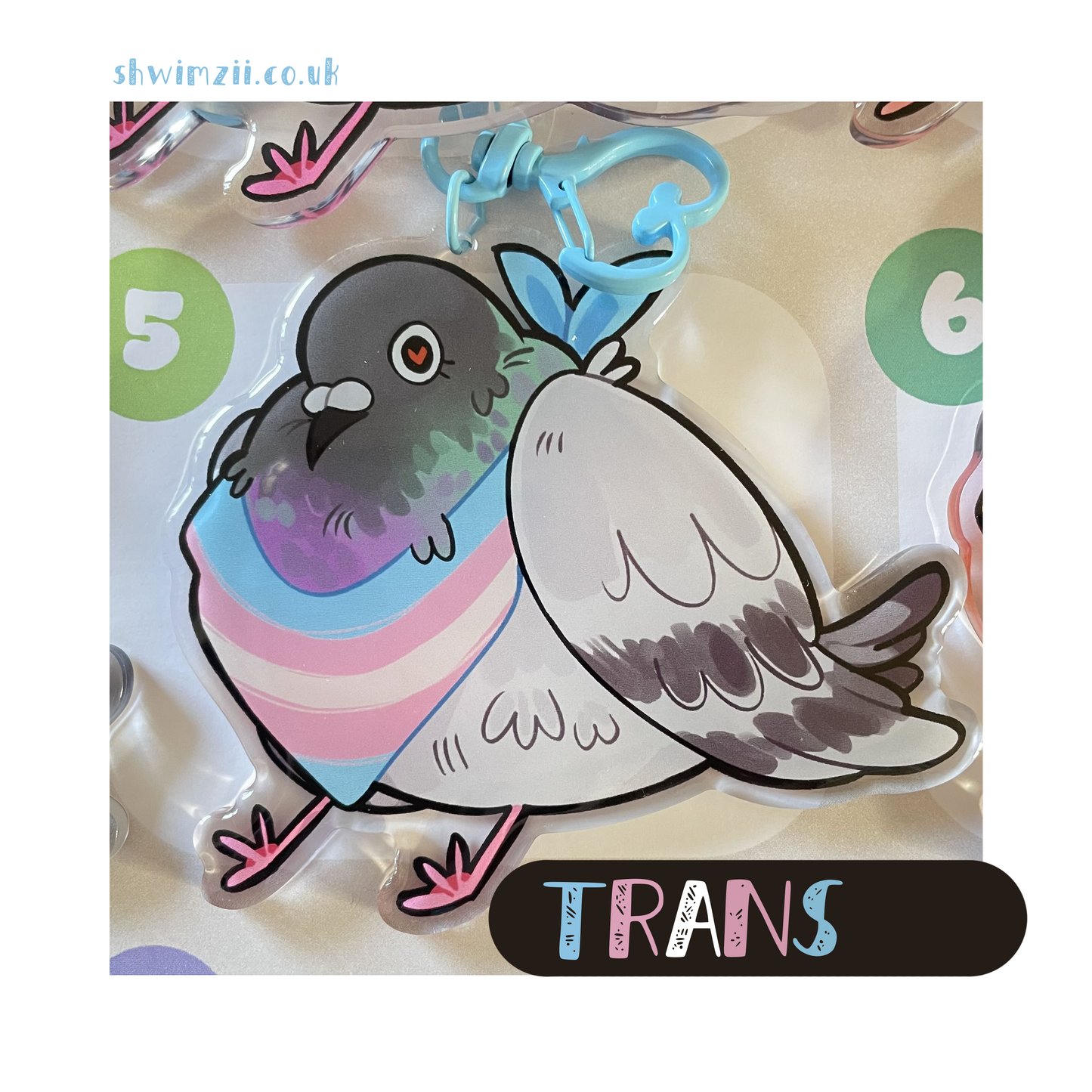 pride pigeon charms