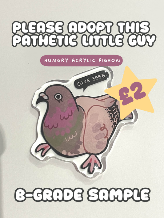 B-GRADE PIGEON ACRYLIC THING